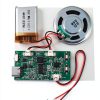 ALMOCN USB Charging Recording Module Musical Instruments-1