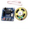 Pavo Sound Module for iPhone USB-4
