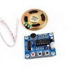 Pavo Sound Module for iPhone USB-5