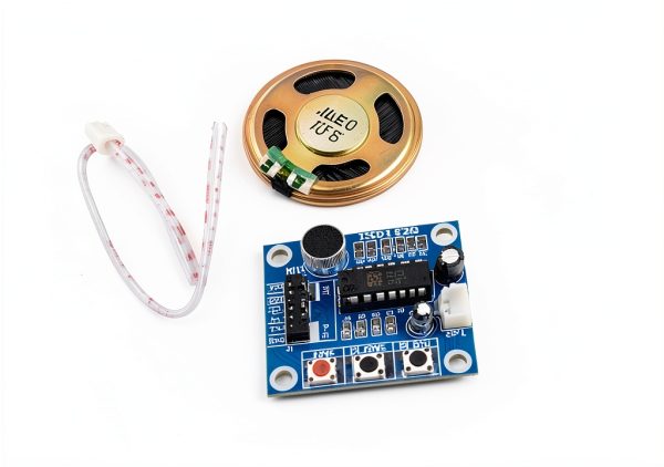 Pavo Sound Module for iPhone USB-5
