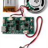 UMLIFE Rechargeable Sound Module Musical Instruments-0