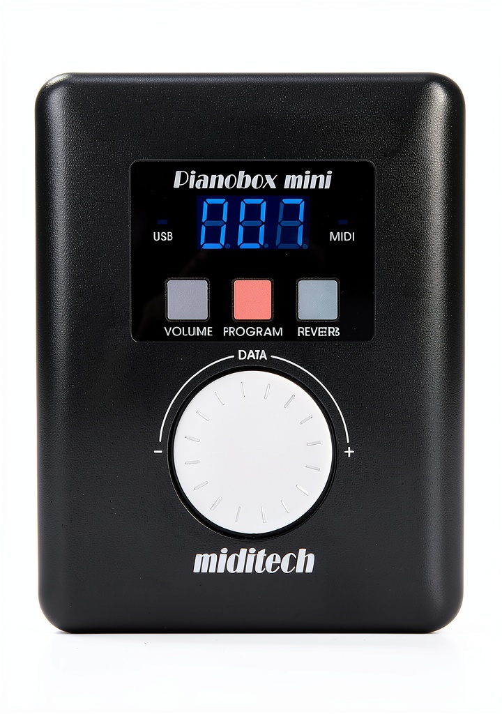 Portable MIDI sound module with built-in battery