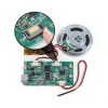 UMLIFE Rechargeable Sound Module Musical Instruments-3