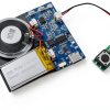 Blue Sound Module XLW Musical Instruments Recording Module-0